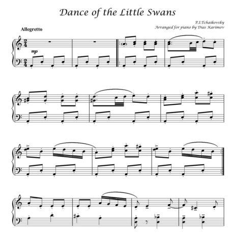 Dance of the Little Swans – P.I.Tchaikovsky,arr.by D.Karimov-Demo