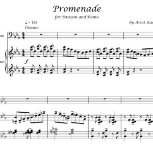 Promenade by Airat Karimov bassoon and piano sheet music PDF download