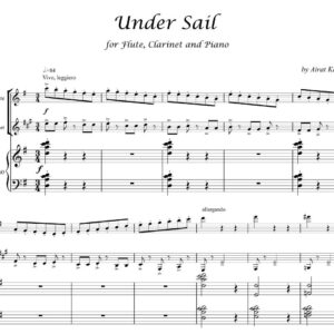 Under Sail by Airat Karimov for flute, clarinet and piano sheet music PDF download